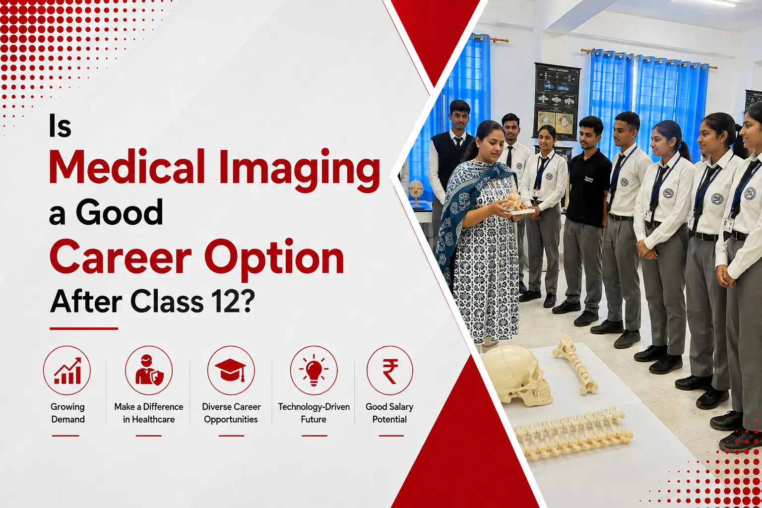 Is Medical Imaging a Good Career Option After Class 12